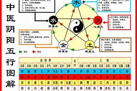 1984 五行|1984年五行属什么